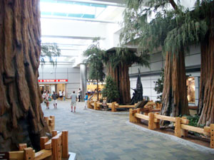 airport trees